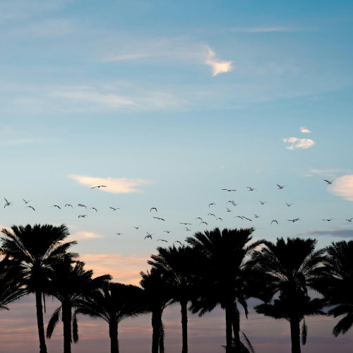Sanford, Florida Sanford, Florida