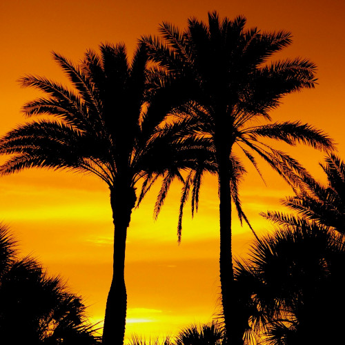Sarasota, Florida