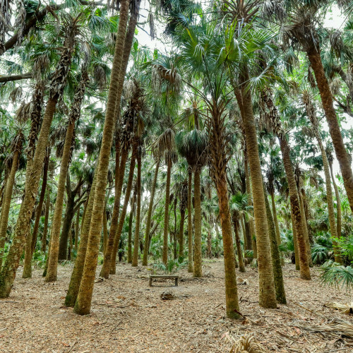 Sanford, Florida Sanford, Florida