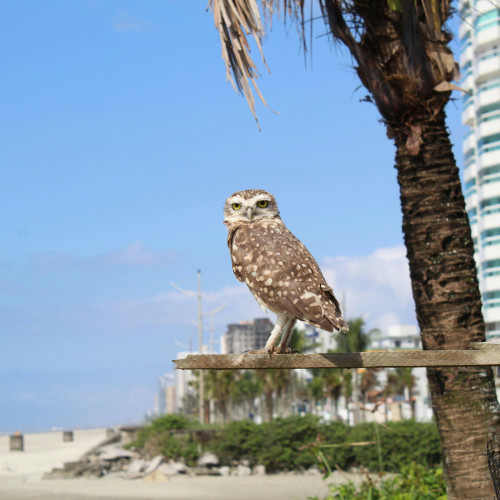 West Palm Beach, Florida
