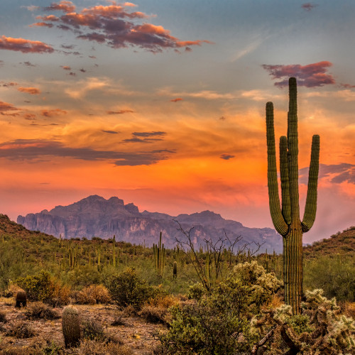 Phoenix, Arizona Phoenix, Arizona
