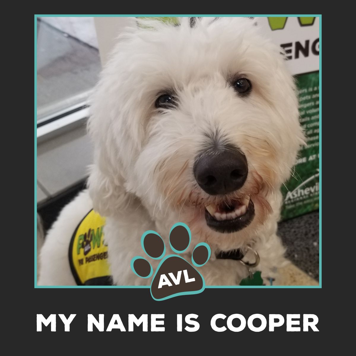 Cooper