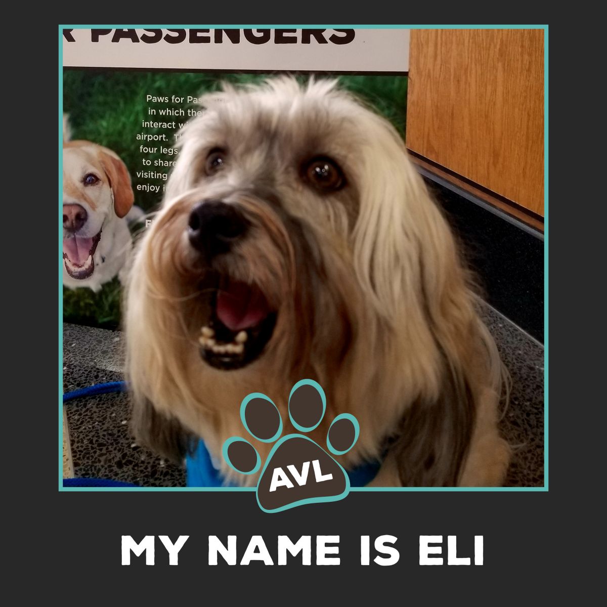 Eli