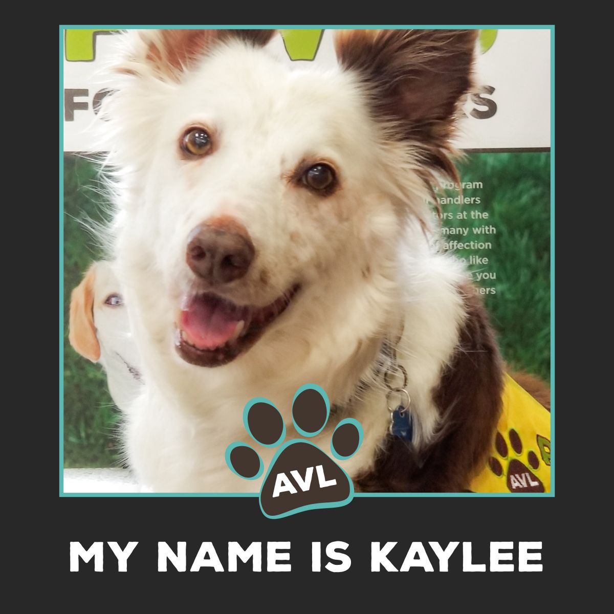 Kaylee