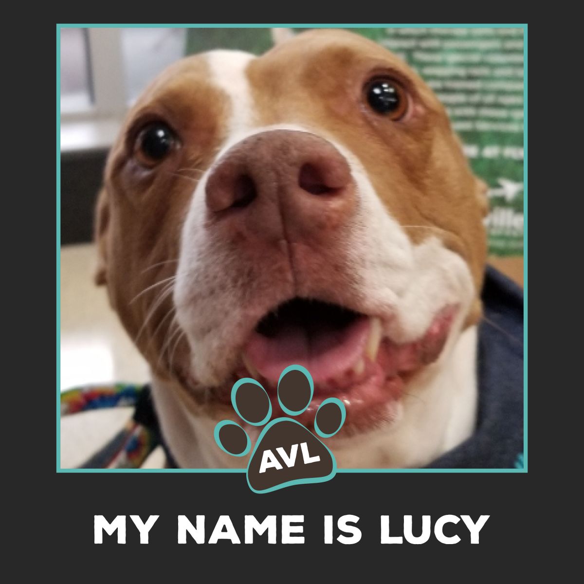 Lucy