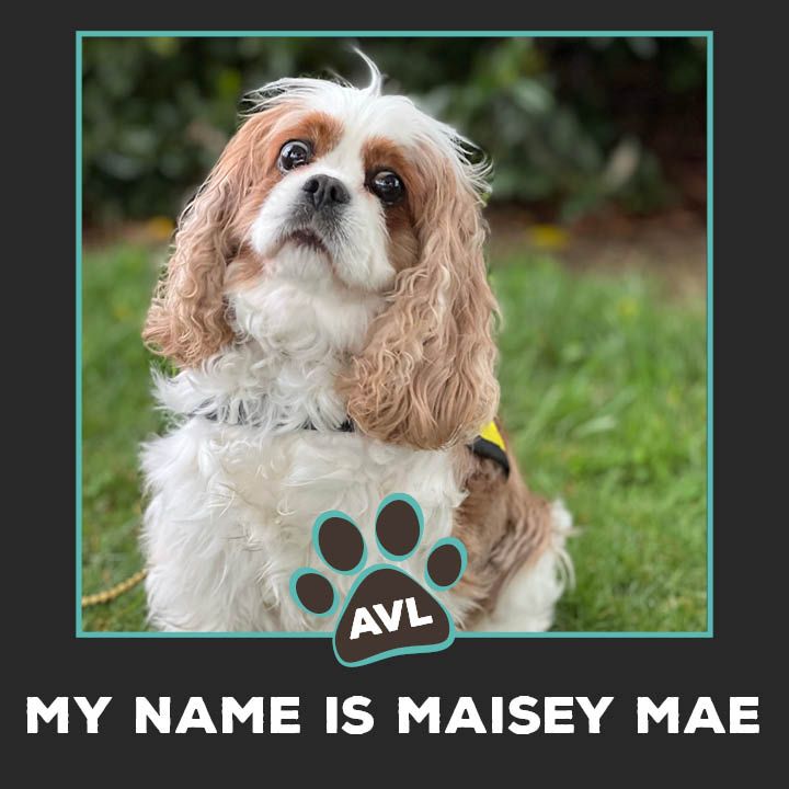 Maisey Mae
