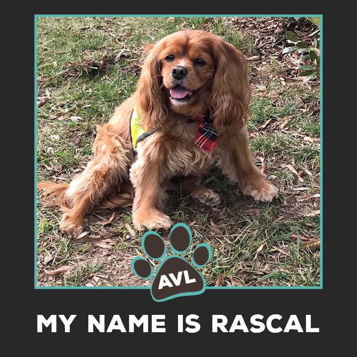 Rascal