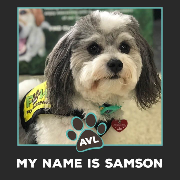 Samson