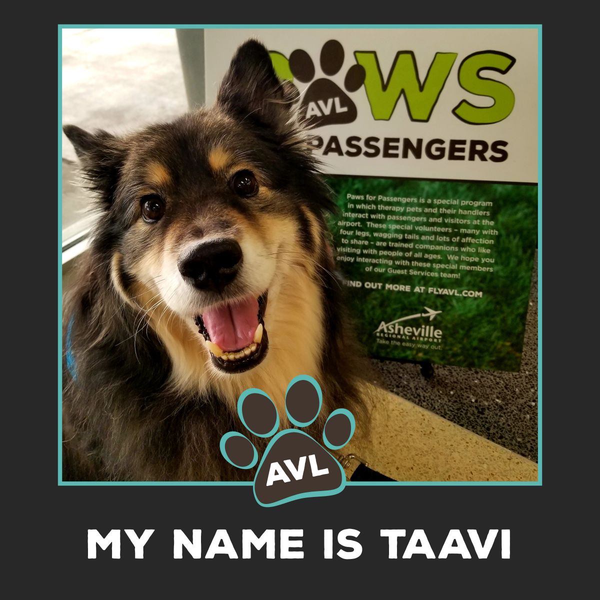 Taavi