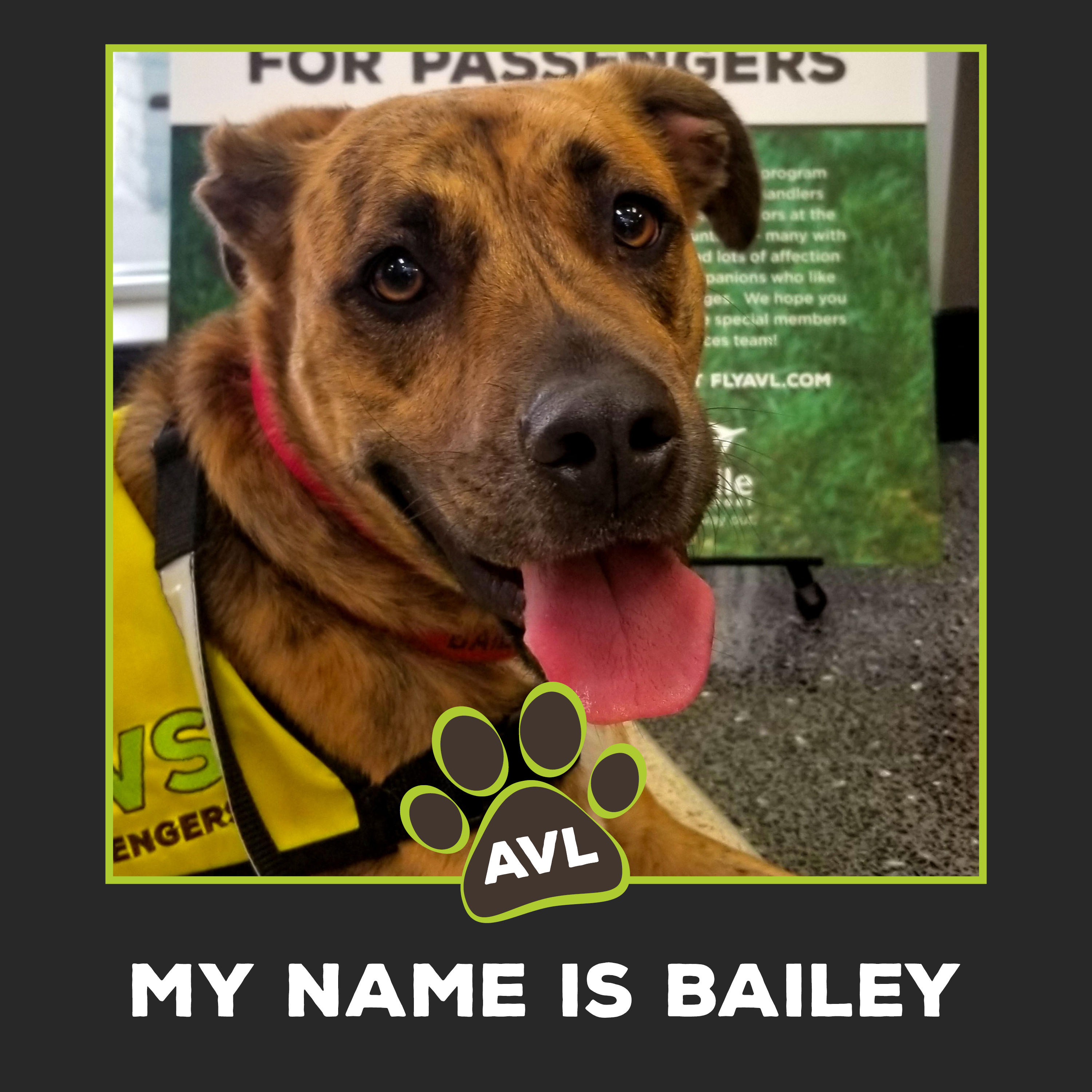 Bailey