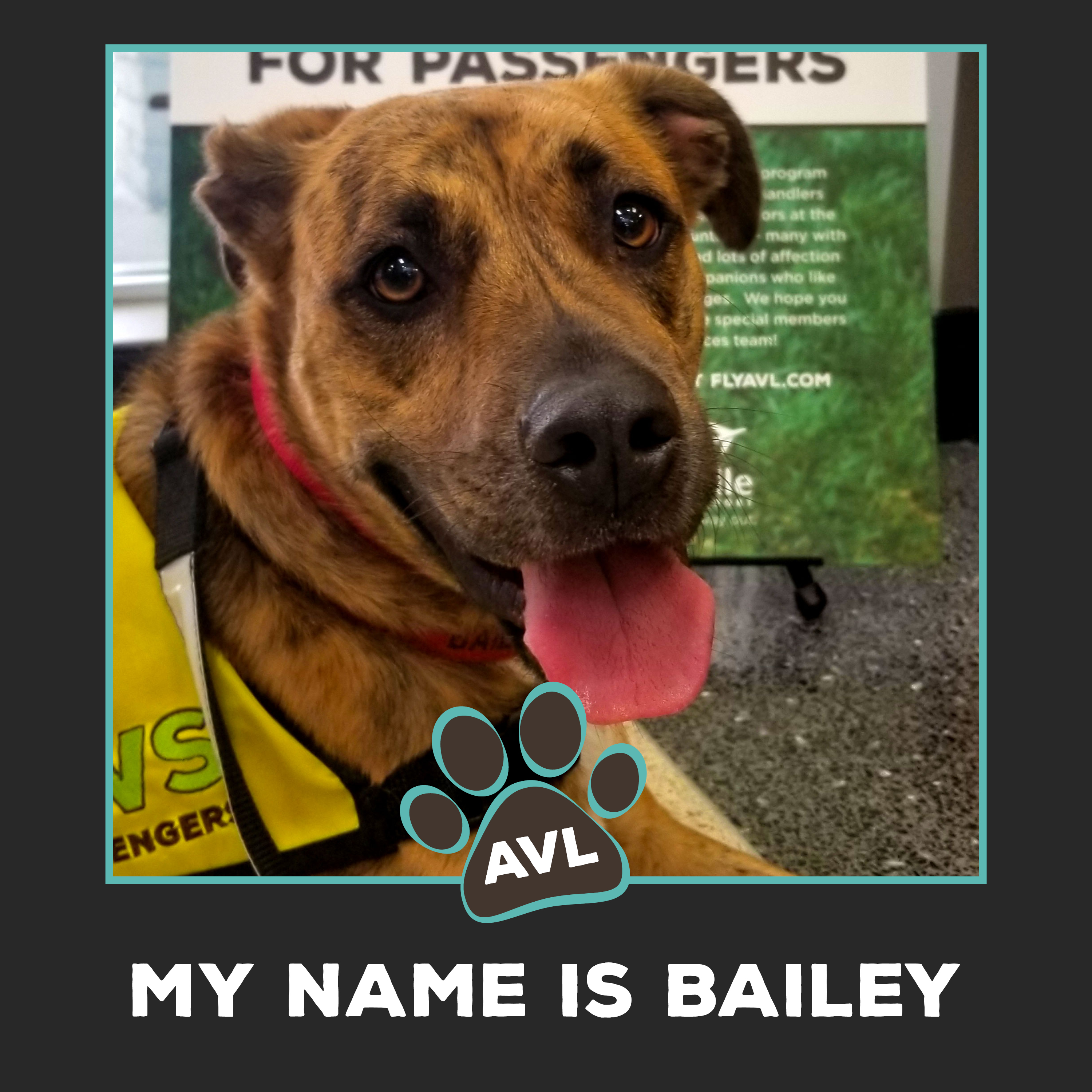 Bailey