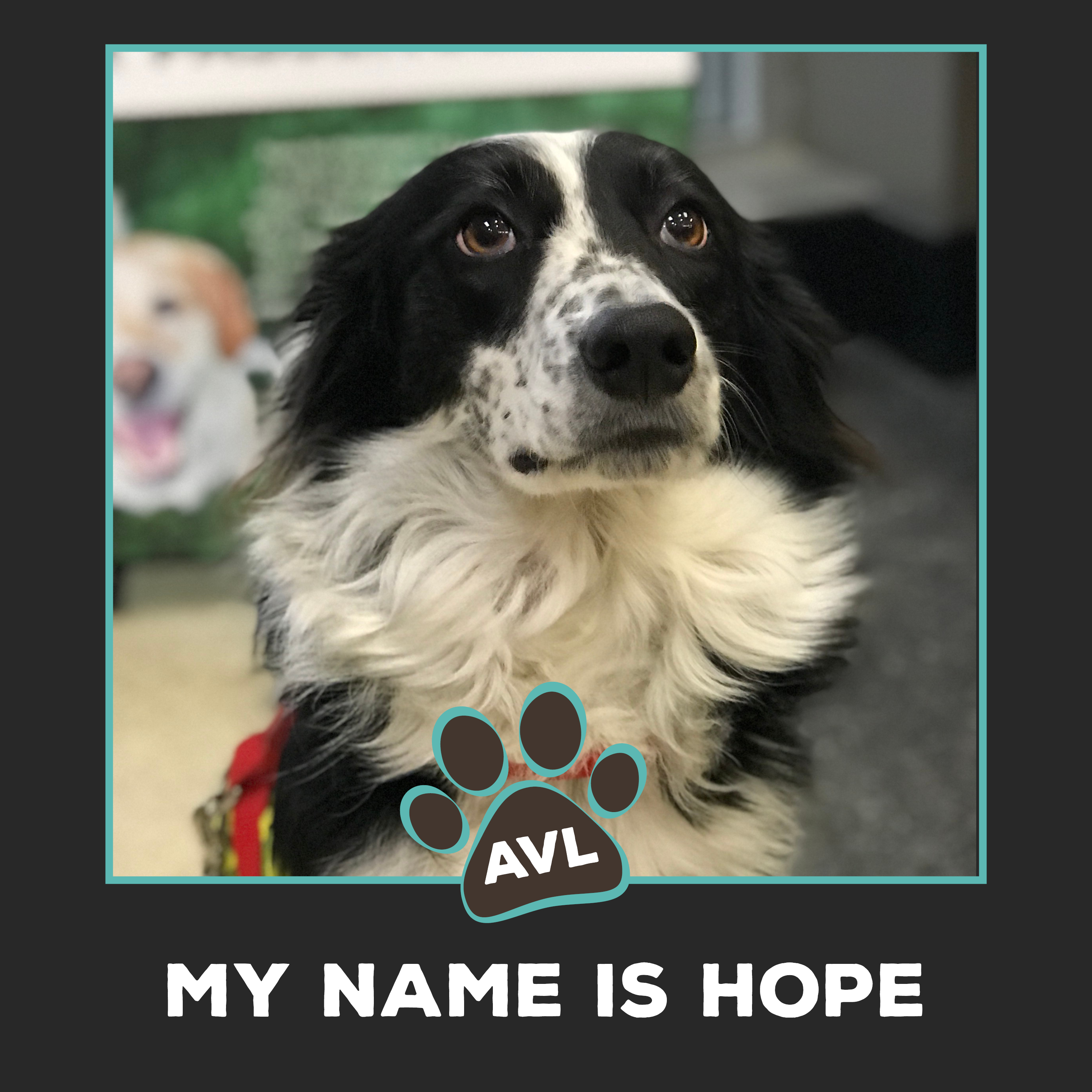 Hope